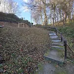 L'oree Du Bois *