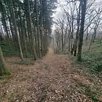 L'oree Du Bois Daire