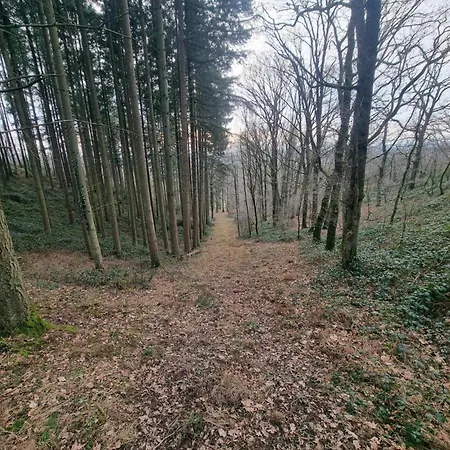 L'orée Du Bois Apartamento
