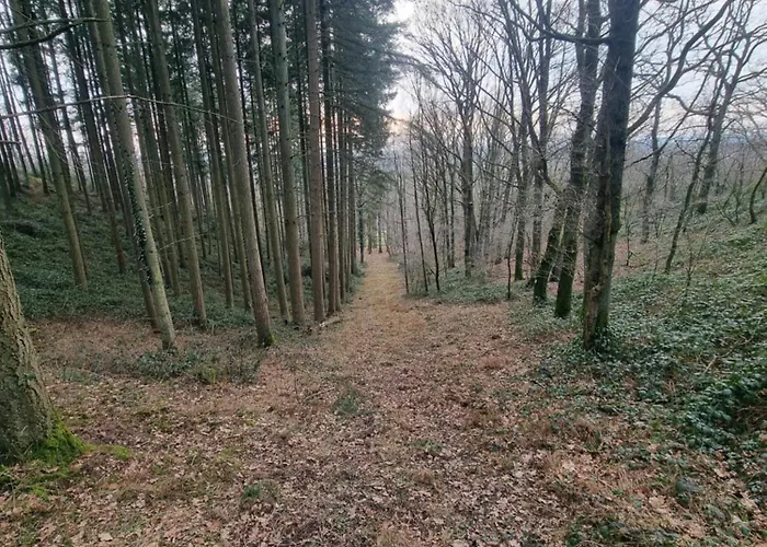 L'oree Du Bois Apartment